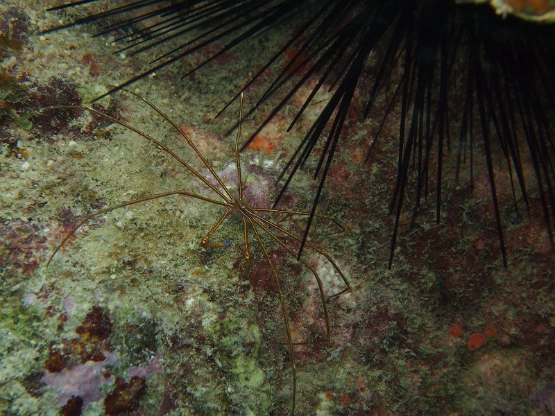 Curacao 04-12 076.JPG